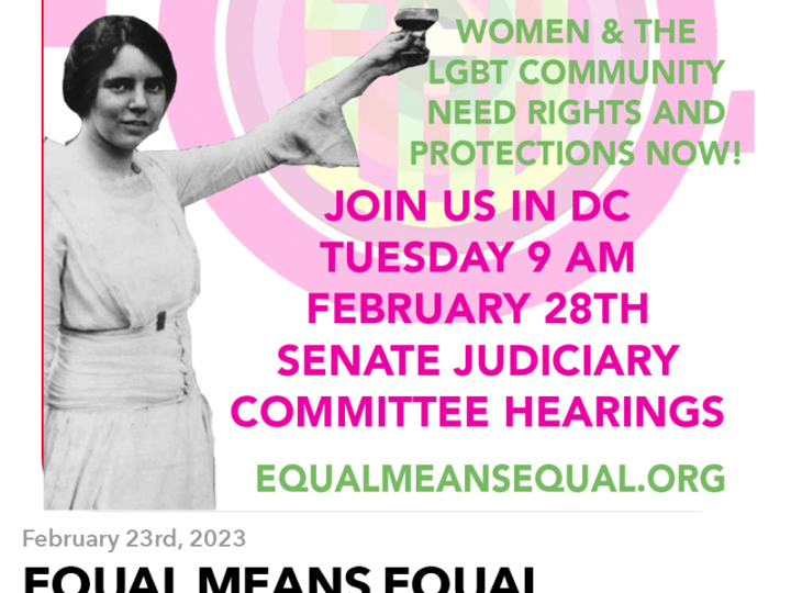 February 23, 2023: EQUAL MEANS EQUAL Goes To Washington
