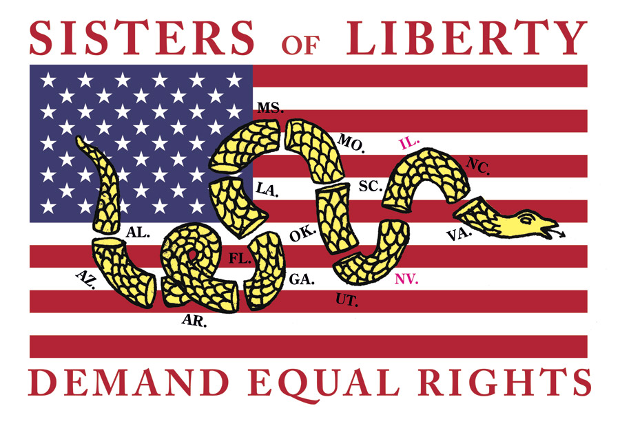 July 3, 2018: Do You Know the Way to San Jose? Join Equal Means Equal at the National NOW Conference July 6th